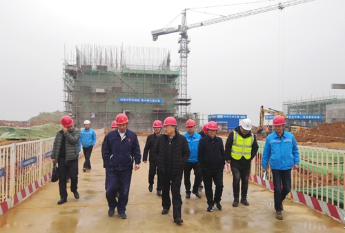 袁衛東到股份、楚星和新項目現場調研(圖3)