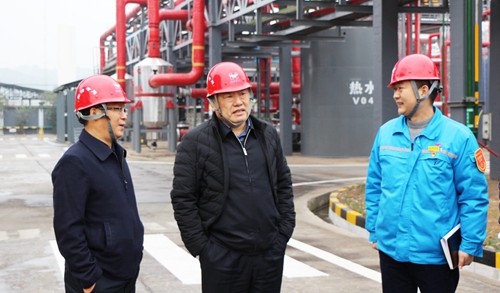 袁衛東到股份、楚星和新項目現場調研(圖5)