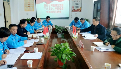 向宇飛列席指導(dǎo)股份公司氯堿黨支部“不忘初心、牢記使命”專題組織生活會(huì)(圖1)