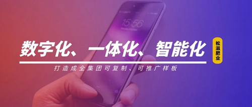 線(xiàn)上辦公零接觸！松滋肥業(yè)信息化在戰(zhàn)“疫”之中顯身手(圖1)