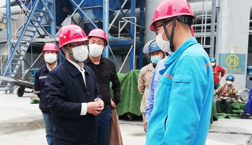 王大真到股份公司、TMP及TPO項目現場檢查工作(圖2)