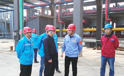 王大真到松滋肥業、楚星公司、新材料公司和股份公司現場調研(圖2)