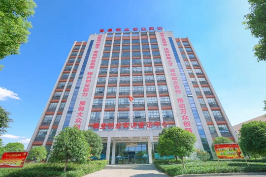 湖北省第一批“荊楚工匠學(xué)院”!宜化職業(yè)培訓(xùn)中心獲授牌(圖2) 湖北省第一批“荊楚工匠學(xué)院”!宜化職業(yè)培訓(xùn)中心獲授牌(圖2)