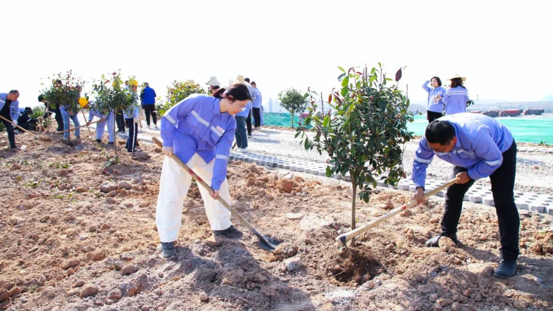 “植”此青綠共“樹”未來！集團各公司開展植樹活動(圖16)
