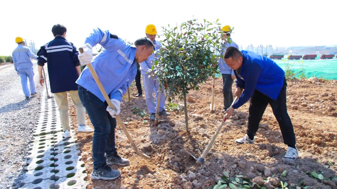 “植”此青綠共“樹”未來！集團各公司開展植樹活動(圖14)