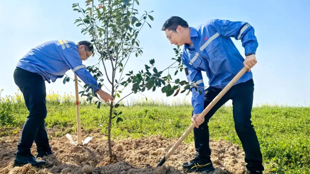 “植”此青綠共“樹”未來！集團各公司開展植樹活動(圖15)