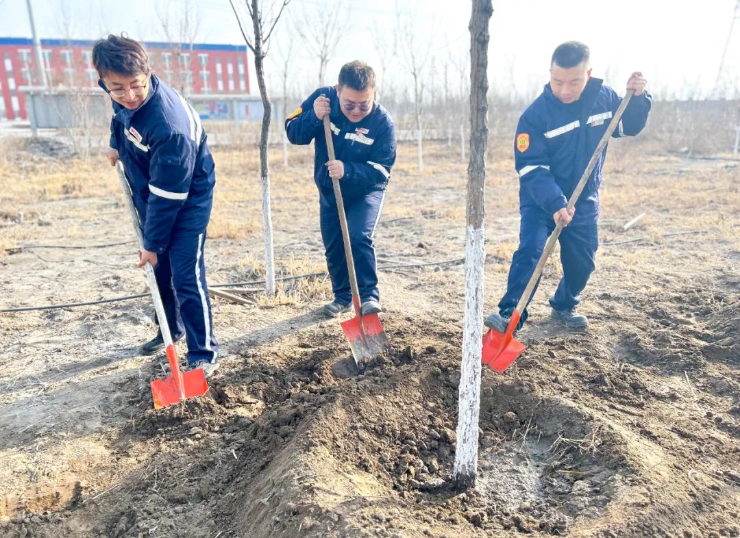 “植”此青綠共“樹”未來！集團各公司開展植樹活動(圖20)