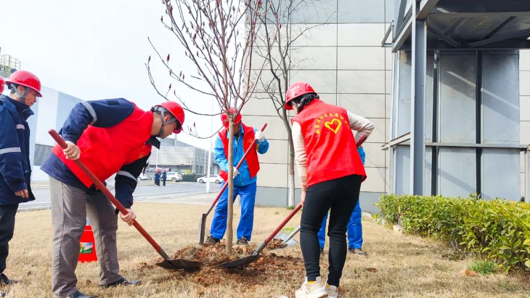 “植”此青綠共“樹”未來！集團各公司開展植樹活動(圖24)