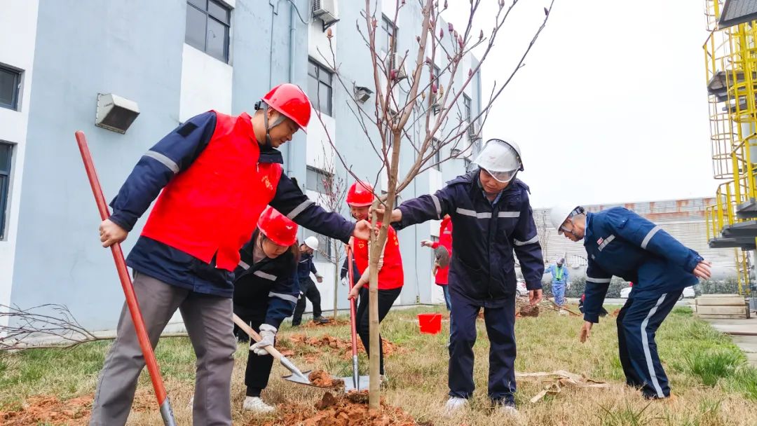 “植”此青綠共“樹”未來！集團各公司開展植樹活動(圖26)