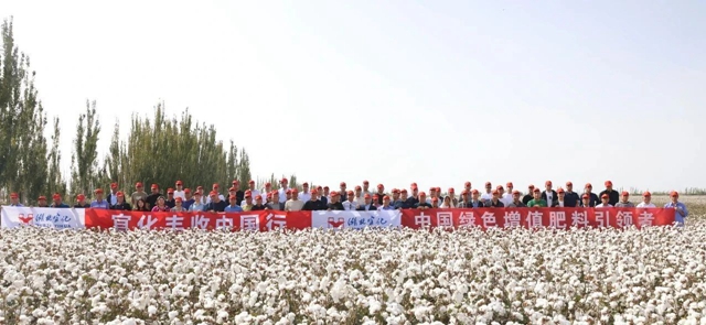 宜化豐收中國行！新疆棉花大型測產觀摩會成功舉行(圖1)