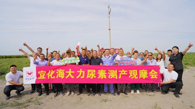 宜化海大力尿素示范田測產觀摩會成功舉辦