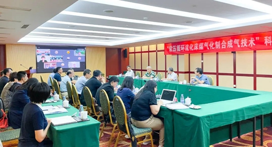 通過鑒定！新疆宜化一項技術(shù)達國際領(lǐng)先水平！